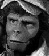 apesmall.jpg